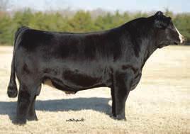 Owen Brother s even sold a $26,000 son out of their Emily daughter.