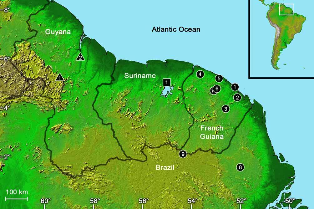 FIGURE 1. Map showing Rhinatrema localities. Circles = R.