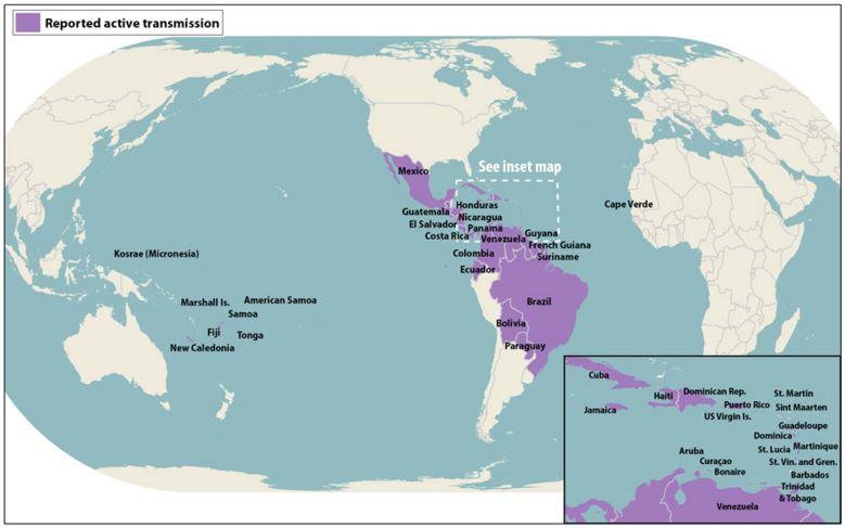 Active Zika Transmission Worldwide Source: