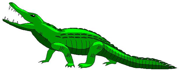1 reptile has a dry and scaly skin and it breathes through its lungs. There are about 6,000 different types of reptiles. The most common ones are alligators, crocodiles, lizards, snakes and turtles.