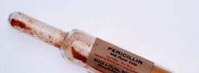 55 /dose Photos: Penicillin