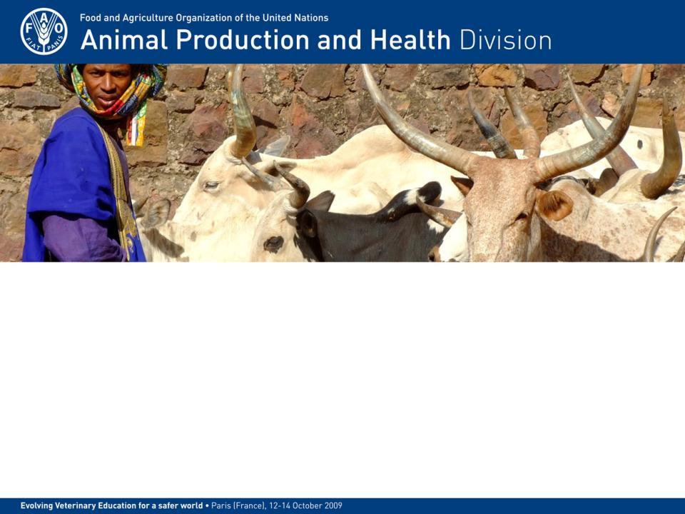 Transboundary Animal Diseases Katinka de Balogh Senior