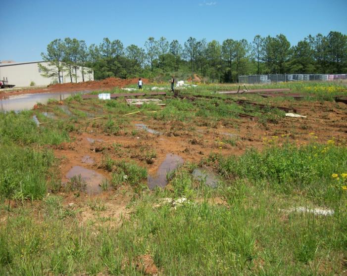 Construction sites can breed mosquitoes. Ruts caused by construction equipment commonly breed mosquitoes.