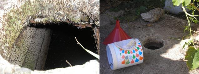 How to inspect a septic tank to avoid producing mosquitoes: Verify that vent pipes are covered with screen mesh Make sure the pipe that goes