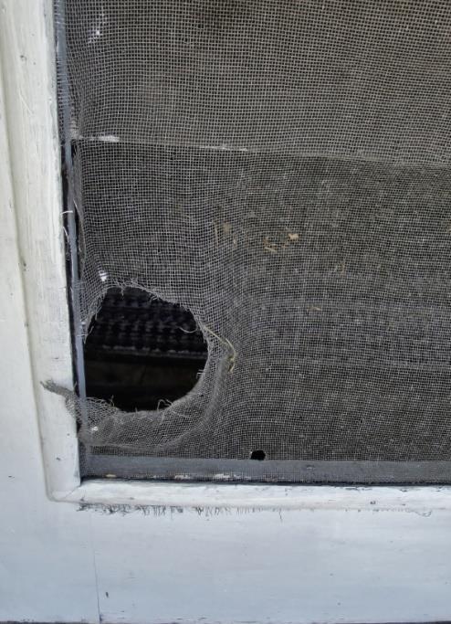 Other Preventative Measures Window screens should be kept in good repair to prevent the entry of adult mosquitoes.