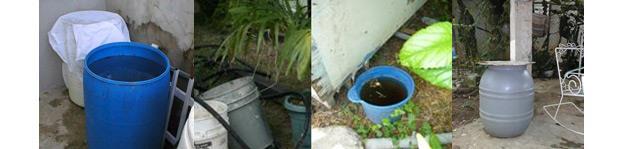 from the site or store them so that they cannot collect water, you can have a major breeding area with just one dealer.
