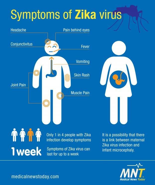 Zika Transmitted Mosquitoes Unprotected Sex Possibly >45 Days after inflection Blood transfusions Mother-to-Baby Most people