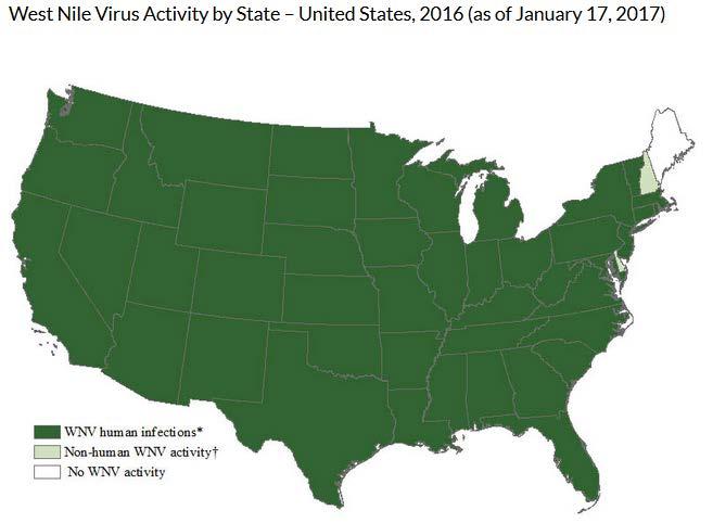 West Nile Virus 60 species are known to