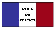 Southern Ontario SPECIALTY SHOWS DOGS OF FRANCE SOUTHERN ONTARIO Friday, August 7, 2015 Saturday, August 8, 2015 DOGS OF FRANCE SOUTHERN ONTARIO OFFICERS President Vice-President Secretary /