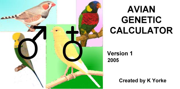 GENETIC CALCULATOR (INDIAN