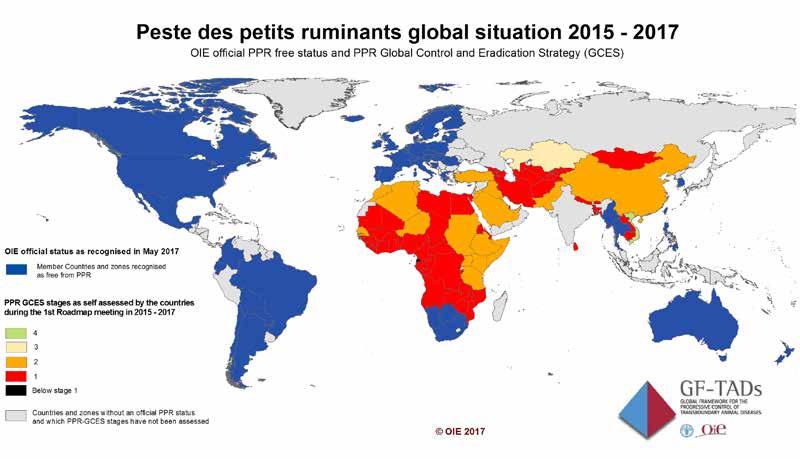 the OIE and its partners to the four-stage approach mentioned above, and the indicative multiyear calendar for achieving PPR eradication and PPR-free official status, in accordance with OIE standards.