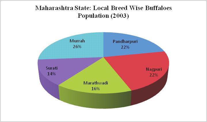 Murrah Buffalo Fig No 1 Murrah is considered to be e best milch-cum-meat breed of buffaloes.
