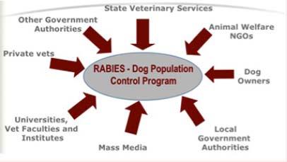 Rabies June 2014: OIE meeting on rabies for countries of North Africa