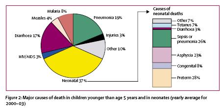 Major Causes of Death in Children