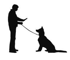 Erskine Park GSDL OBEDIENCE TUESDAY NIGHTS 7.30PM A great night to socialise puppies or if you have a dog who needs obedience training then this is the night for you.
