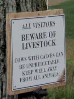 Signs to reduce risks of interaction of cattle and dog walkers Anyone out enjoying the countryside should accept the likelihood that they will meet livestock.