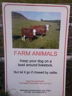 Erection of signs saying cattle in field or sheep in field wherever livestock are grazing would quickly litter the countryside, and signs simply alerting people to animals in a field achieve little.