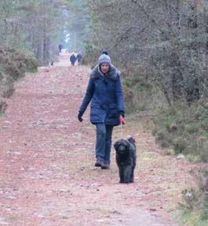 Location Keys to success Boat of Garten, Highlands Path leaflet for all the trails around Boat of Garten includes specific mention of need to keep dogs on a short lead in woods where capercaillie