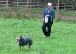 Location Lessons learned Application elsewhere Keys to success Denny, near Falkirk, Central Scotland A safely fenced bespoke facility gives the dog walkers complete peace of mind and allows them to