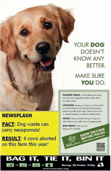 Location Lessons learned Application elsewhere Keys to success Balfron, Stirlingshire Many dog walkers are unaware of the problems which can result from dog fouling.