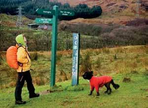 2 Developing local approaches to encourage responsible dog walking People accompanied by dogs that are under proper control can exercise their access rights, as long as they behave responsibly.