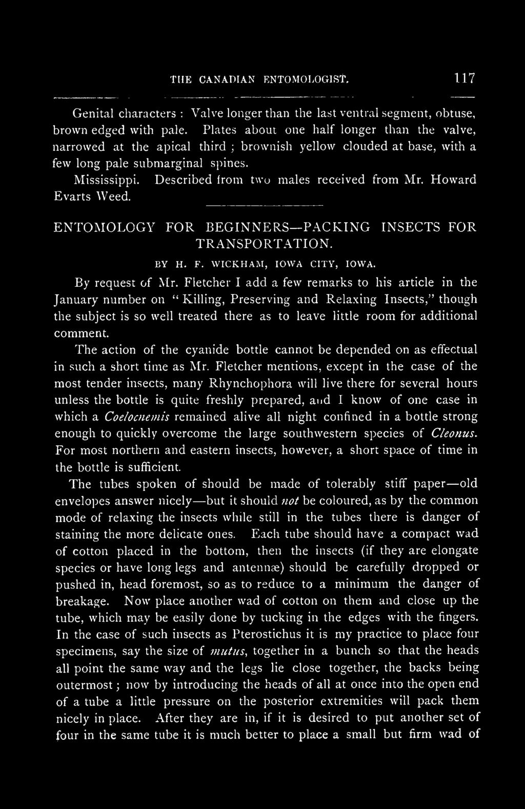 Described Irom two males received from Mr. Howard Evarts Weed. ENTOMOLOGY FOR BEGINNERS PACKING INSECTS FOR TRANSPORTATION. BY H. F. WICKHAM, IOWA CITY, IOWA. By request of Mr.