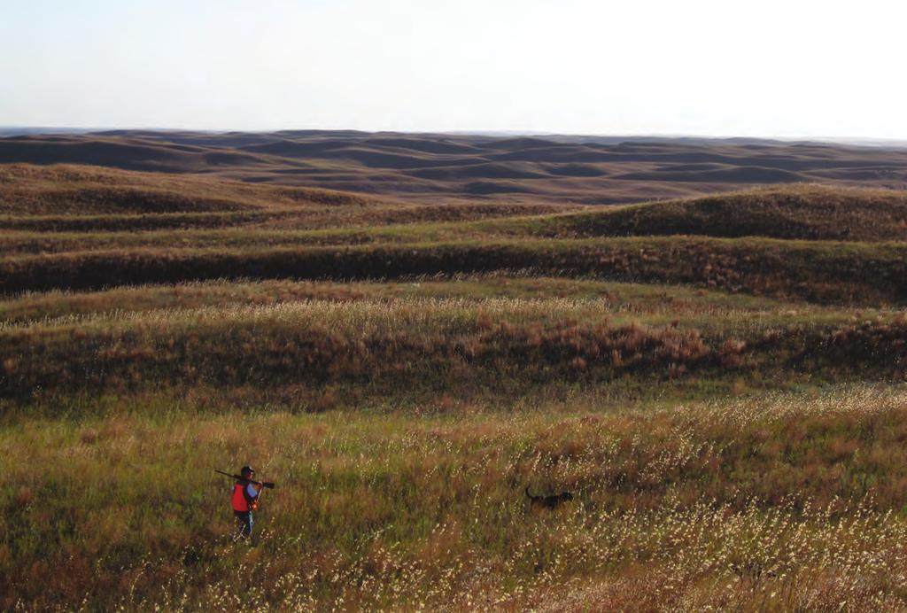 Definition of Land Types Due to the variety of terrains in the Nebraska Sandhills, it is important to first understand the types of land and vegetation that provide habitat for the greater