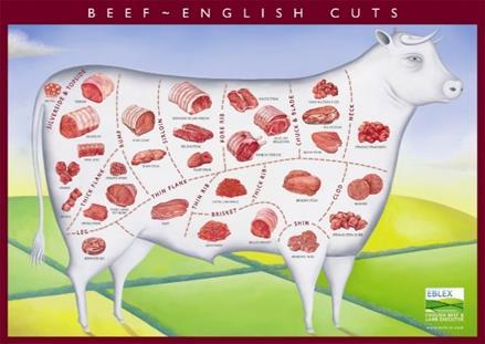 MEAT, FAT AND OTHER EDIBLE CARCASS PARTS (Types, structure, and biochemistry) 7 Meat, fat and other carcass parts are mainly derived from the domesticated animal species cattle and poultry and to a