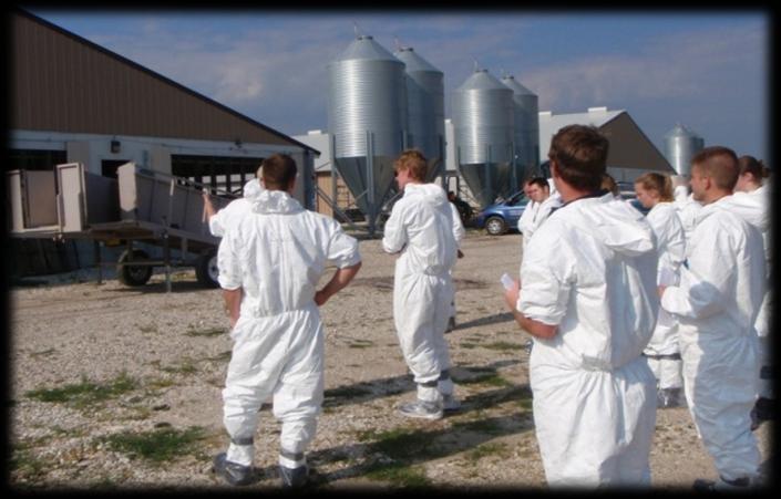 Courses Offered SMEC 480: Swine Production Medicine Clinical Rotation Practice sample collection & farm