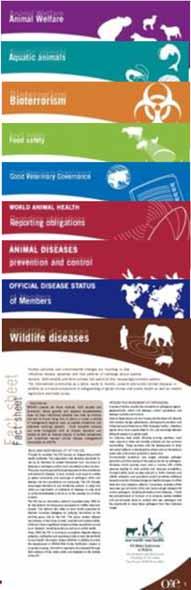 Other tools Productions Disease card on glanders, rinderpest Fact sheet on bioterrorism Online