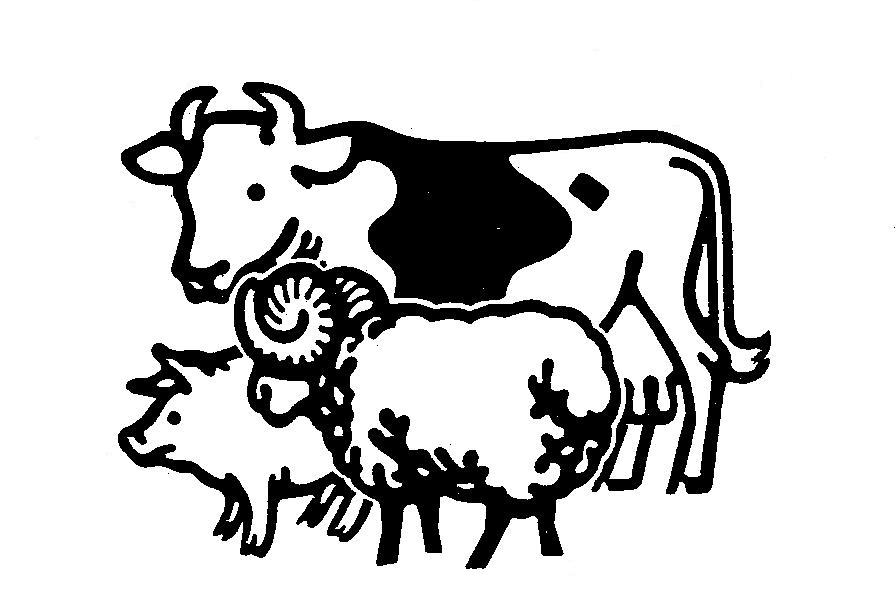 Mini 4-H FARM ANIMALS (Dairy Cows, Beef Cattle, Goats, Sheep, Rabbits, Poultry, Horses & Swine) A replacement manual will