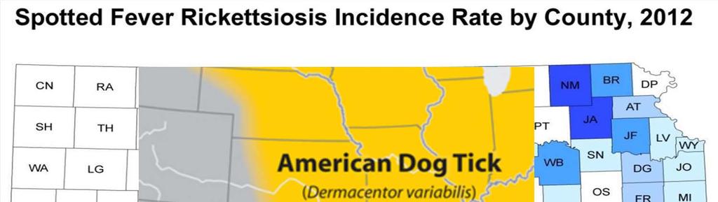 photo/cdc Canine Tick-Borne Disease Agents in the U.S.