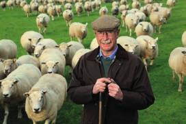 Success stories Breed Flock name First year of weight recording Homebred lambs in analysis Weight recorded lambs Texel Gaynes 1987 3,520 3,255 Test lambs under commercial conditions for commercial