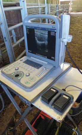 In 2012 Signet completed a procurement exercise that ended in the purchase of Sonoscape scanning machines from Vet Image Solutions.