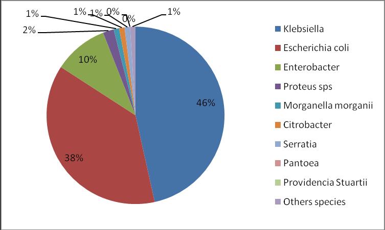 % Susceptibility % Susceptibility Enterobacteriaceae Klebsiella spp. and E.