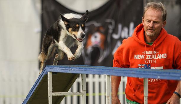 The next event is in Melbourne in April 2018 AGILITY IN AUSTRALIA a brief description They run Agility, Jumpers and Games just like us.