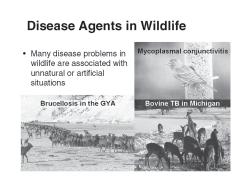 and wildlife groups are concerned about the impact of infectious disease on their animals, and each group has apprehension about possible disease introduction from the other s animals.