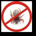 Five Kinds of Disease Prevention & Management 1. Prevent & manage ticks on your body, clothes, & shoes. 2.