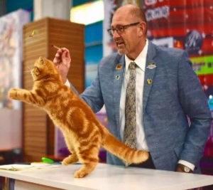 Along with his partner, Omar Gonzalez, with the cattery names of Briar-Mar and Veach, they have produced 22 CFA National winners in the Breeds of Persian, Oriental Shorthairs, American Shorthairs and