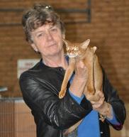 I am currently serving as President of the Co-ordinating Cat Council of Australia (CCCA) plus Chairperson and holding various positions on many sub-committees relating to judging, breeding, showing