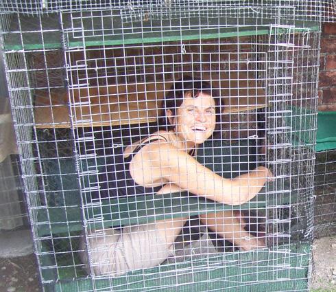Invite others in your school or community to step into this cage and experience the feeling of living in a confined space.