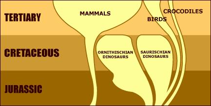 Most of the novel mammalian characteristics had evolved 150 million years before the