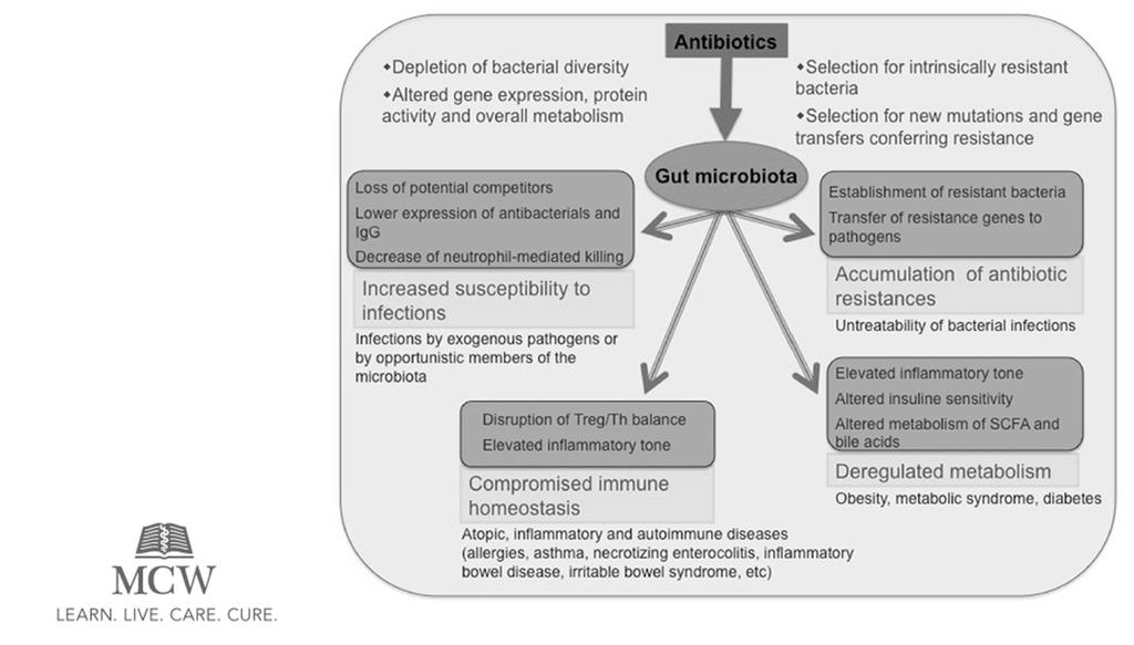 Microbiome Implications of Antimicrobial Resistance Francino, ML.