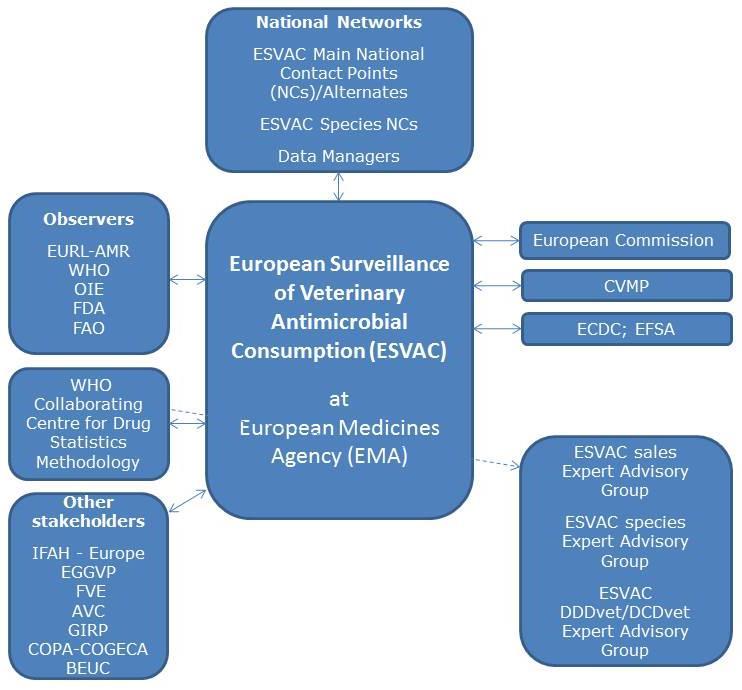 Collect data to guide policy and research ESVAC: 17 Survey sales of veterinary antibiotics across Europe To develop harmonised approach for collection and reporting of data on use of antimicrobial