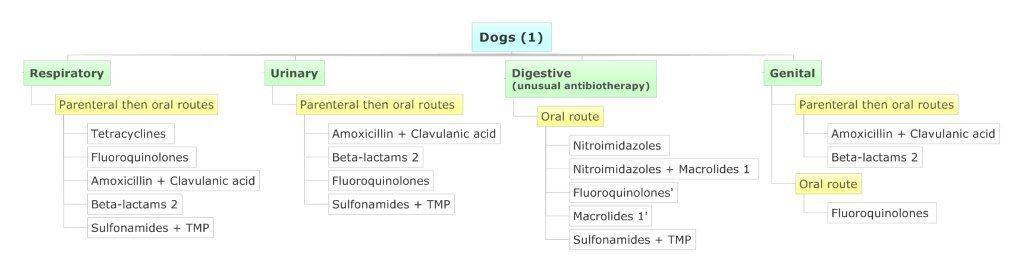 ANSES collective expert appraisal report Map 25: Dogs - Digestive, respiratory, urinary,