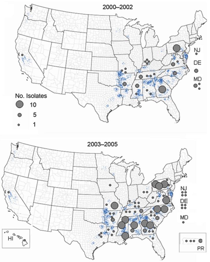 Salmonella Enteritidis in Broiler Chickens United States, 2000 2005 2005 USDA FSIS saw a three-fold increase in SE in broilers from 2000 to 2005 FoodNet showed