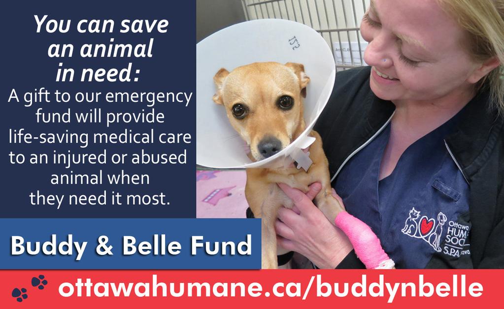 11, March 11 Cost: $50 for your first pet, $25 for each additional pet. Proceeds benefit Ottawa s homeless animals.