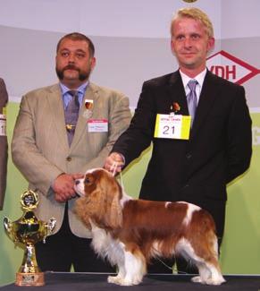 It was the first ever Reserve CC at Crufts to go a Cavalier that was not bred in the UK.