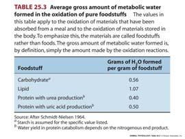 Excretion -metabolic waste products ammonia, urea, etc. -metabolic water (desert!