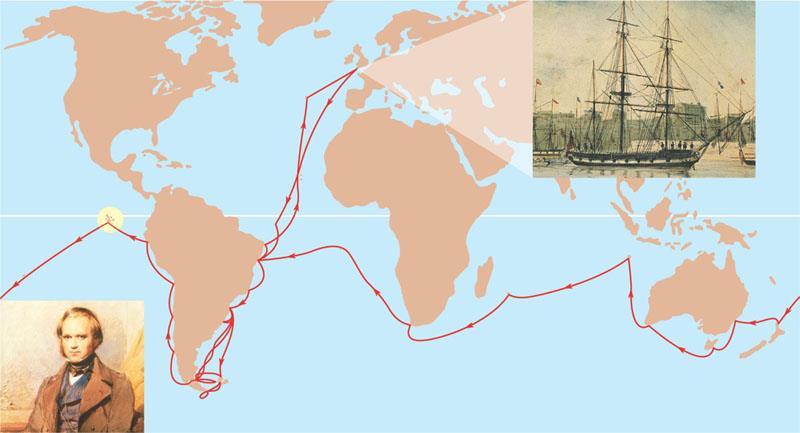 Andes Voyage of the HMS Beagle Stopped in Galapagos Islands 500 miles off